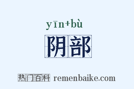 阴部是什么意思的图片